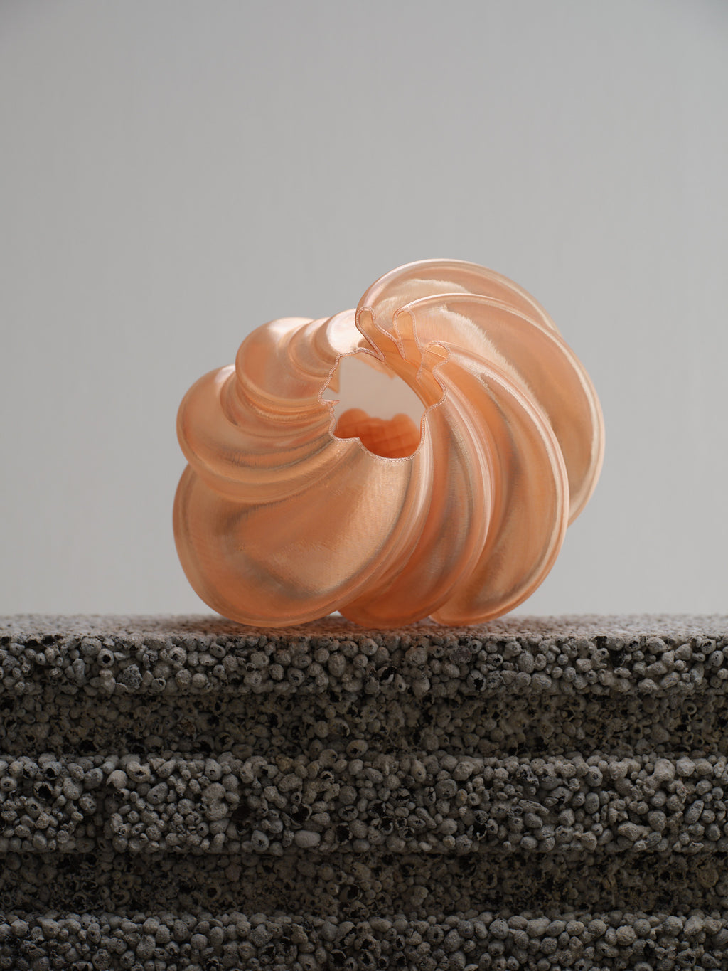 Organza Champagne